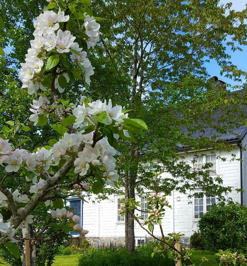 Kjorsvik Ovre Apartment Tornes Exterior photo